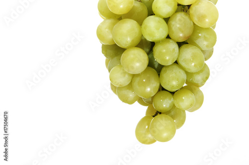 Photography grapes