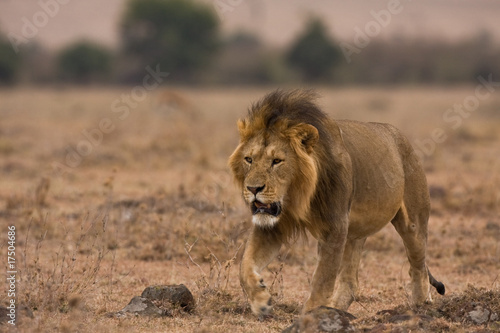 König der Mara