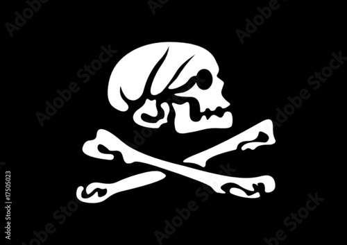 Pirate Flag 1 photo