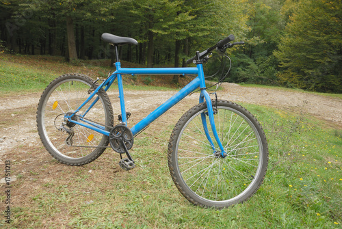 blue mountain bike resting in green environment