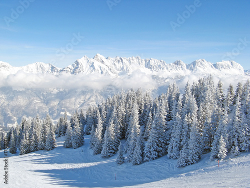 Fototapeta Naklejka Na Ścianę i Meble -  Winter in the alps