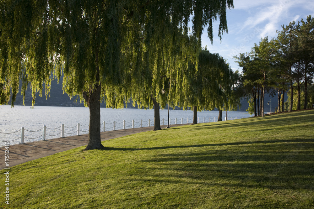 Obraz premium paysage etang 06