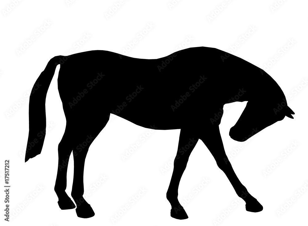 Fototapeta premium Horse Illustration Silhouette