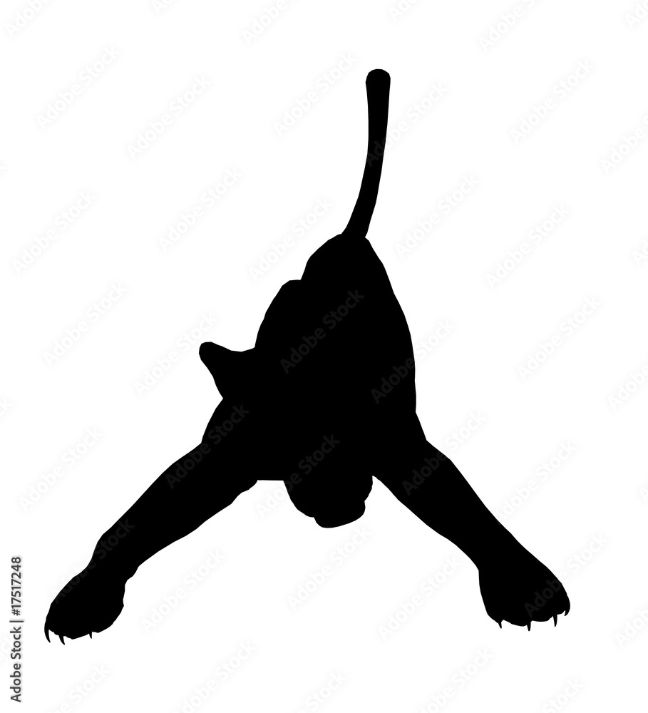 Fototapeta premium Panther Illustration Silhouette