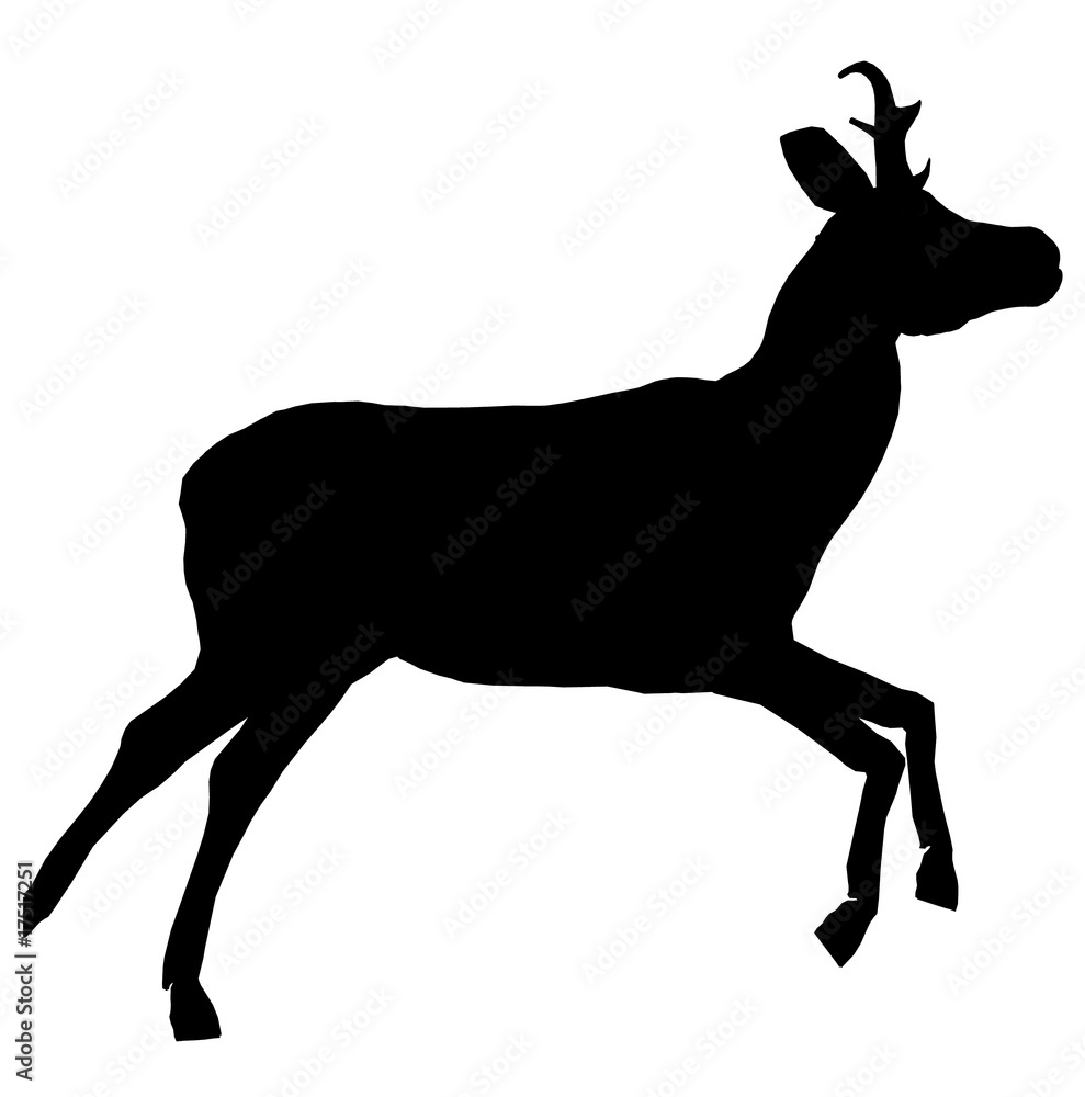 Fototapeta premium Deer Illustration Silhouette