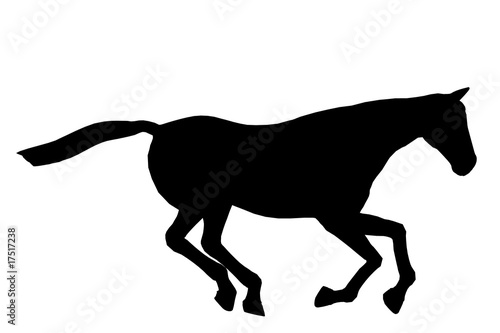 Horse Illustration Silhouette