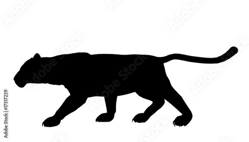 Panther Illustration Silhouette