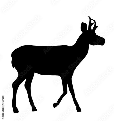Deer Illustration Silhouette