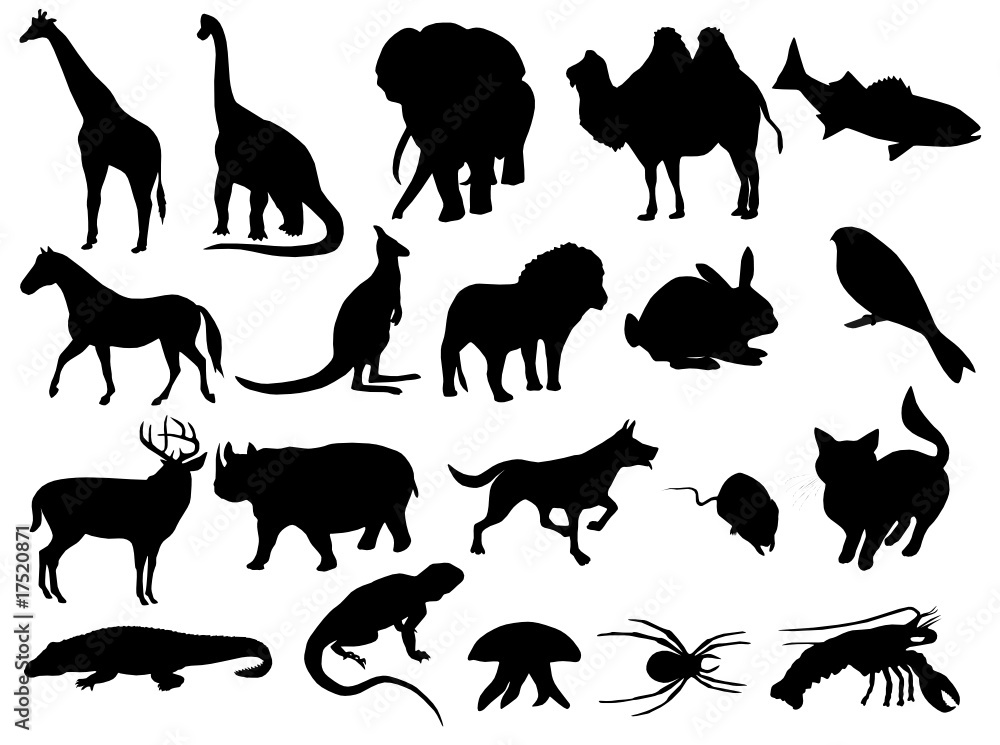Obraz premium Animal silhouettes