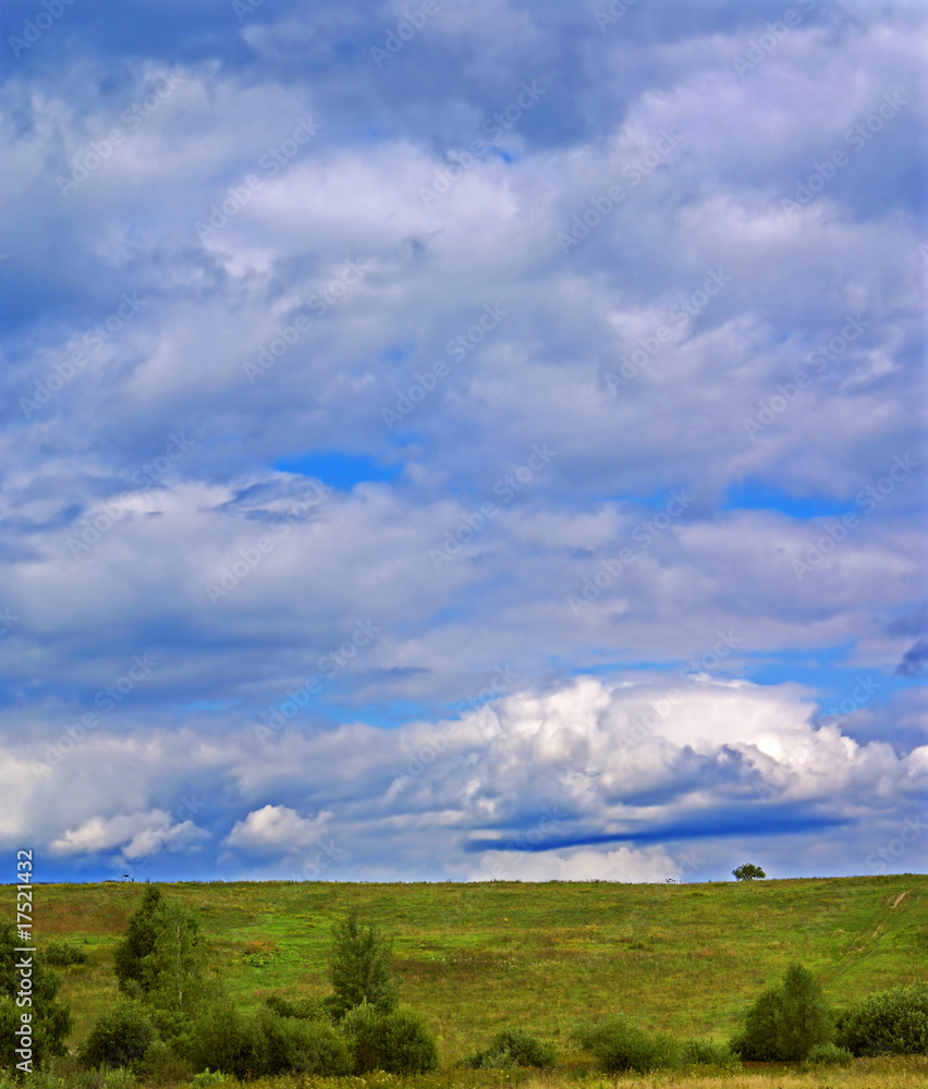 Summer landscape j Summer landscape j