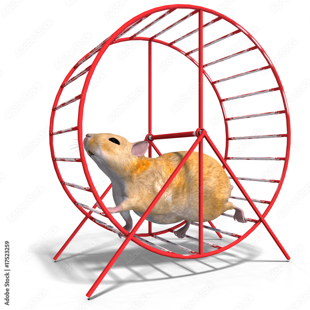 Hamster Wheel