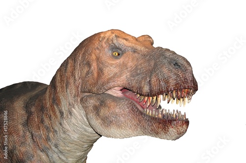 Dinosaure Stock Photo | Adobe Stock
