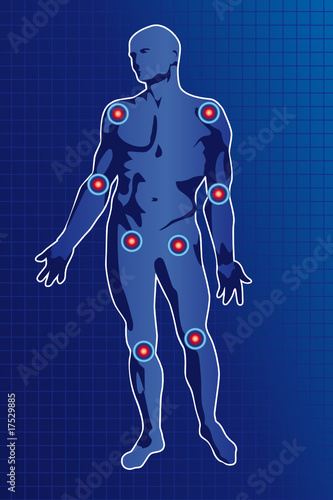 Anatomie des articulations