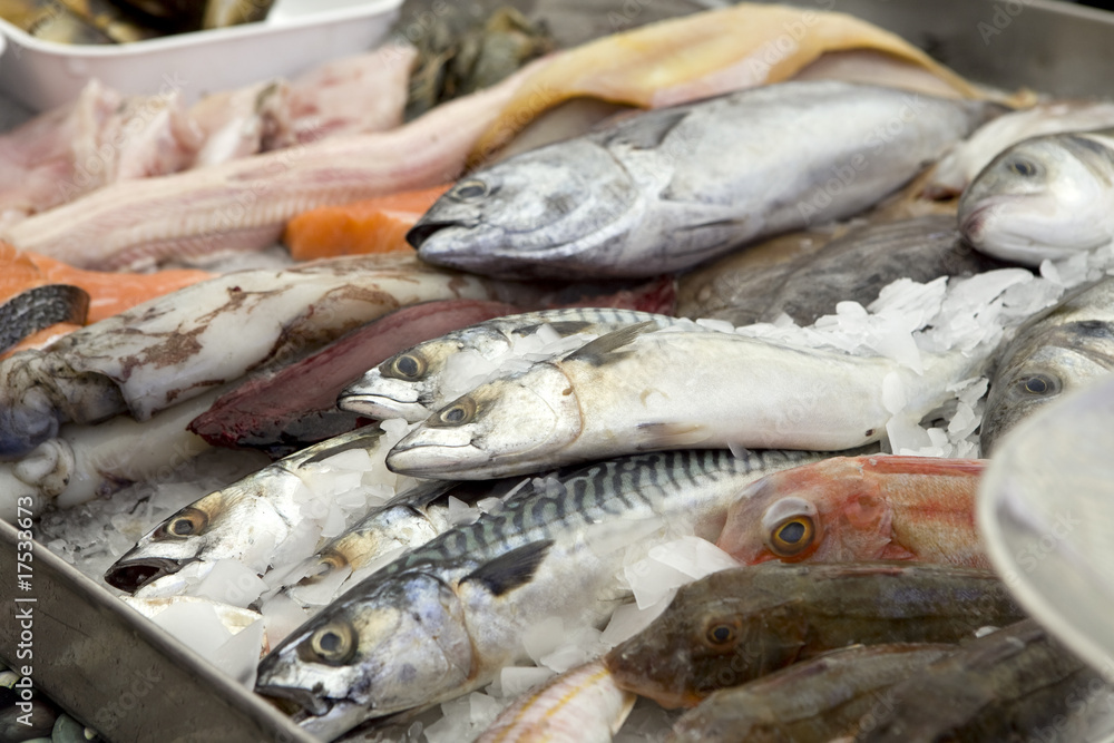 stall of fishes at the fish merchant stall of fishes at the fish merchant