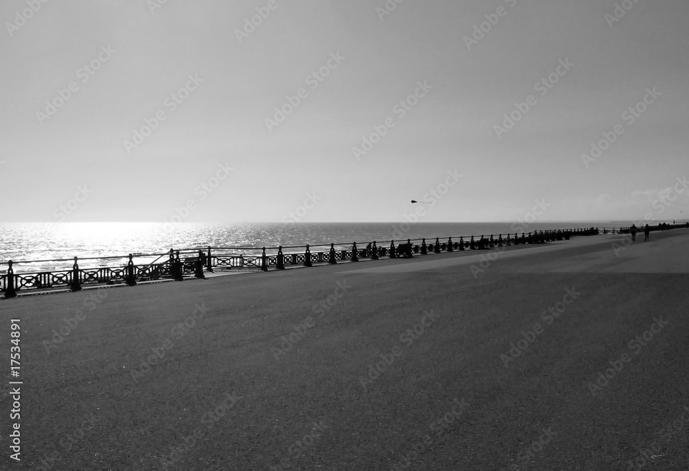 Fototapeta premium Brighton Seafront