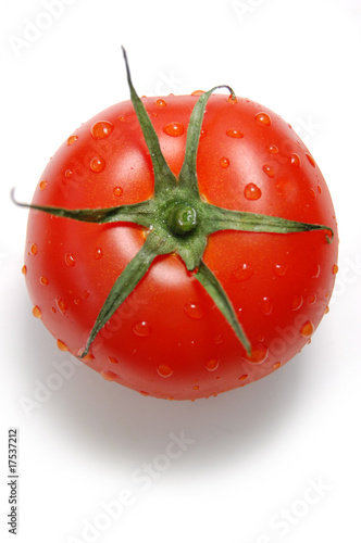 Tomato