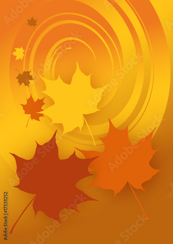 Ahornblätter, Herbst, Vektorgrafik