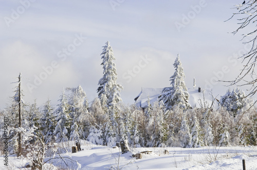 Schneelandschaft © reinhard sester