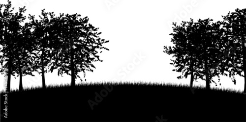 Tree silhouettes