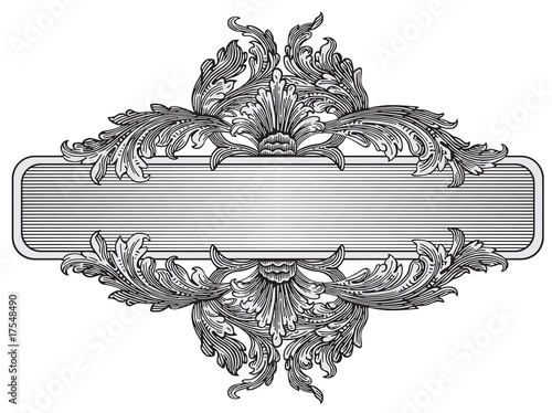 Ornate frame design element vector