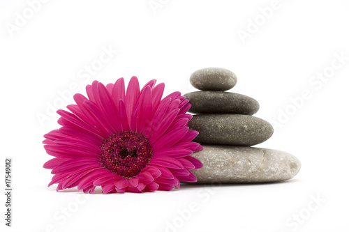 Canvas Print zen stones