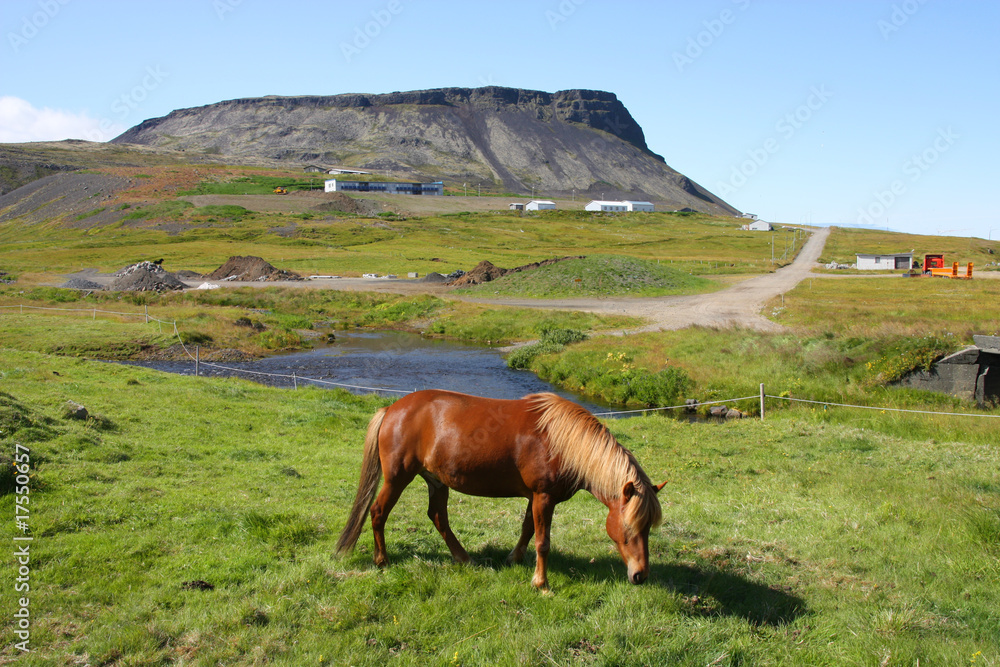 Iceland - Olafsvik on Snaefellsnes Peninsula