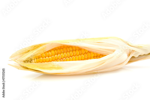 One mais corn over white background