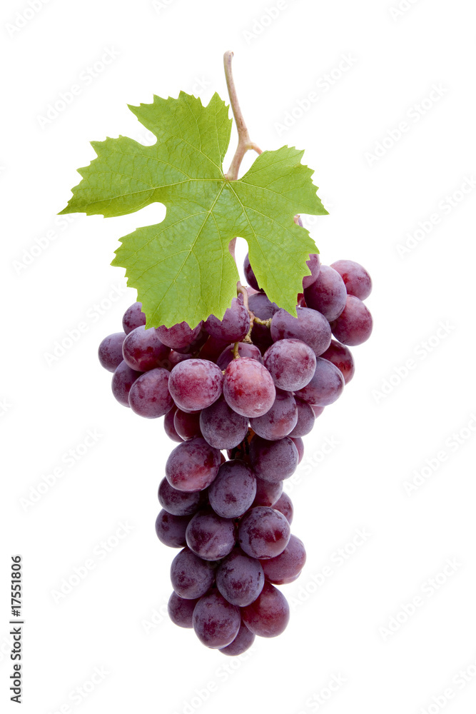 Fototapeta premium Weintrauben