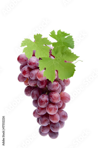 Rote Weintrauben