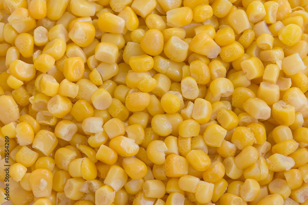 maize,corn maize,corn
