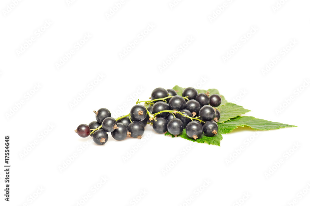 Tasty,juicy currant on a white. Tasty,juicy currant on a white.