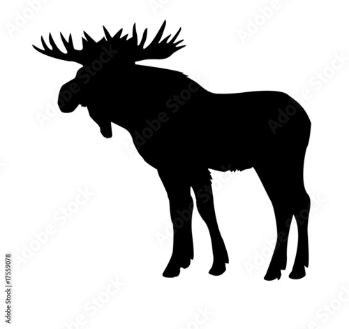 silhouette moose isolated on white background