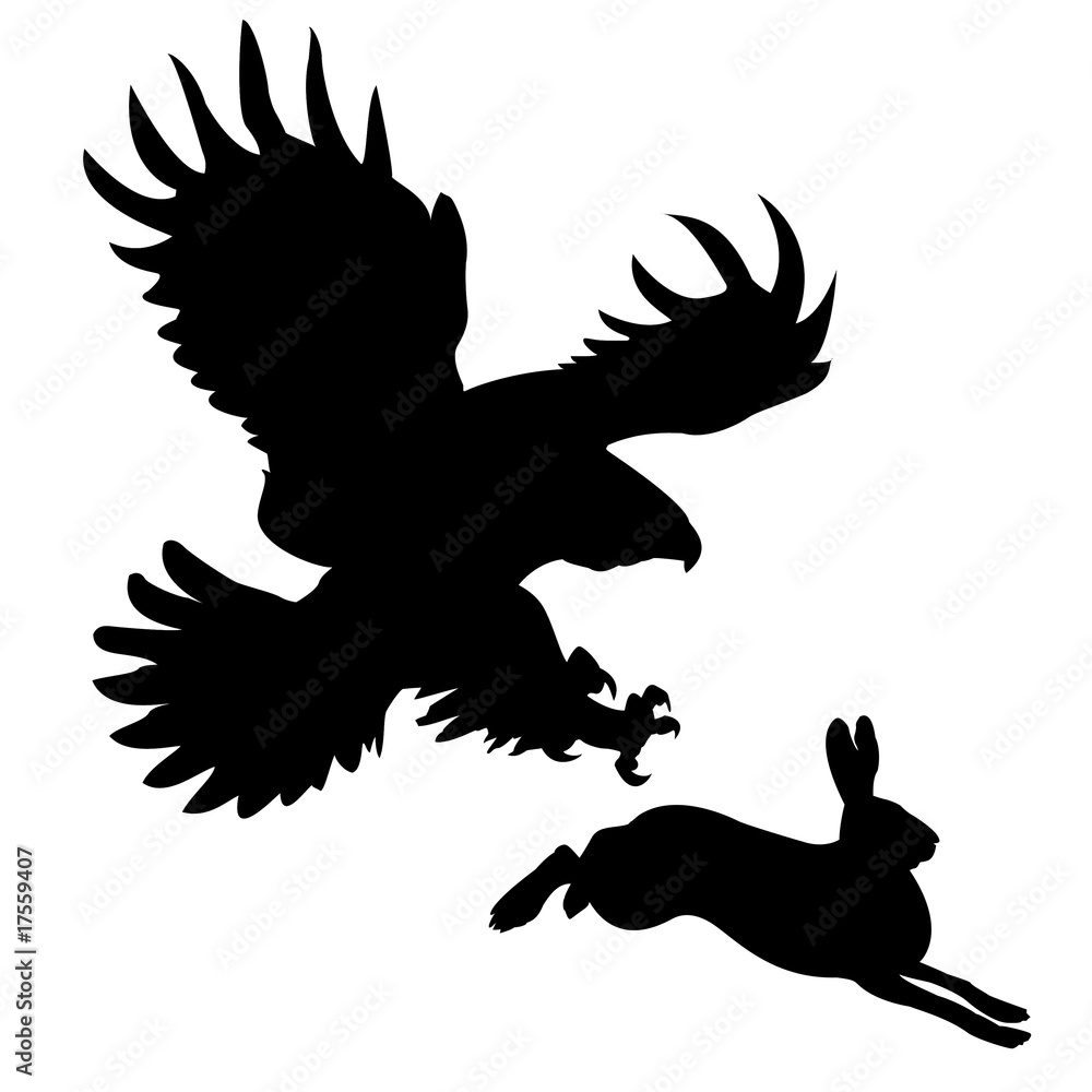 Obraz premium silhouette of the ravenous bird attacking hare