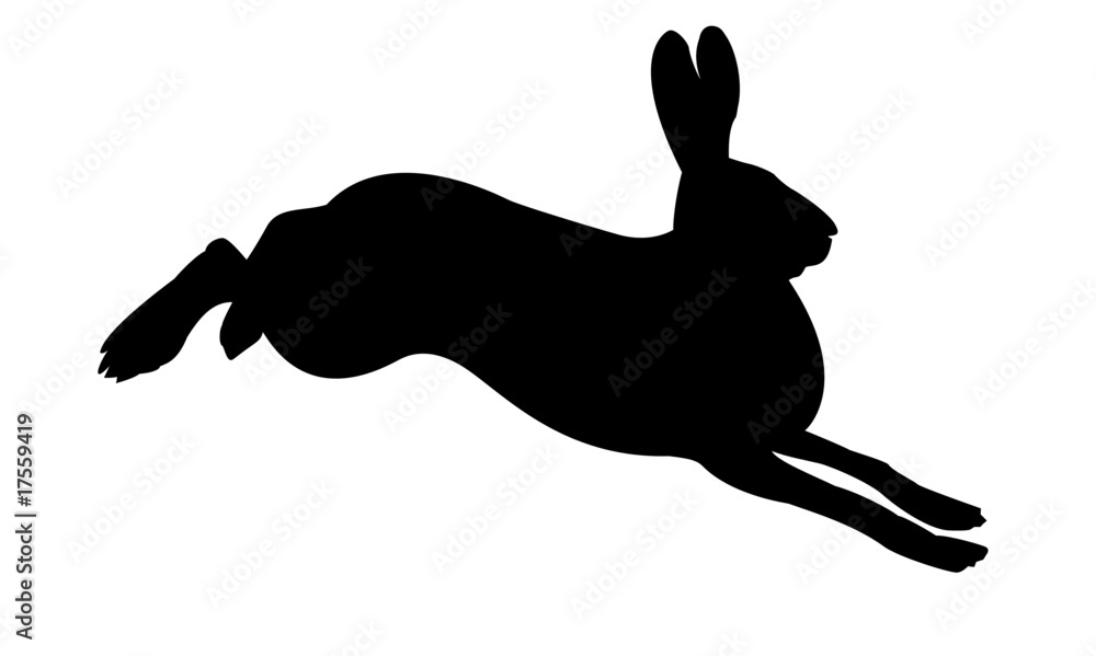 Naklejka premium silhouette of the rabbit on white background