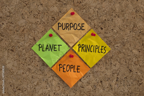 Canvas Print Purpose, People, Planet, Principles maxim