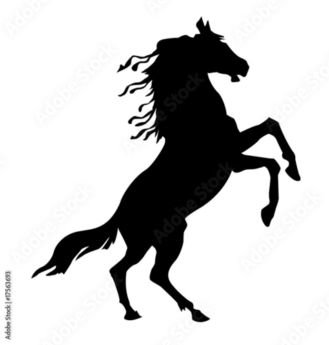 Fototapeta Naklejka Na Ścianę i Meble -  silhouette horse on white background