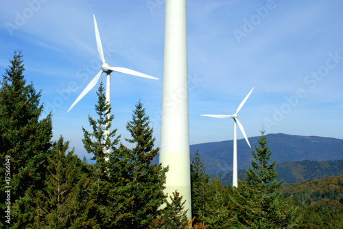 ecologie 3