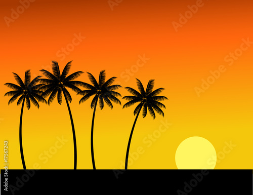 Tree silhouette and sunset in tropical island