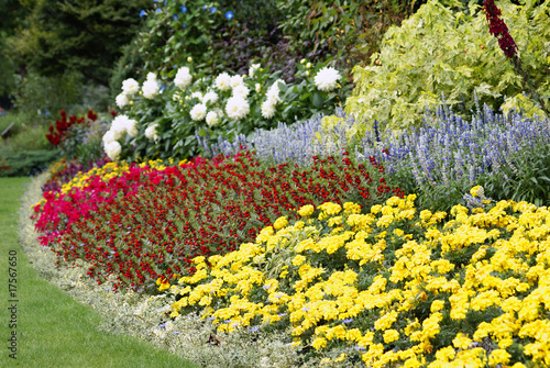 massif de fleurs d'un jardin anglais