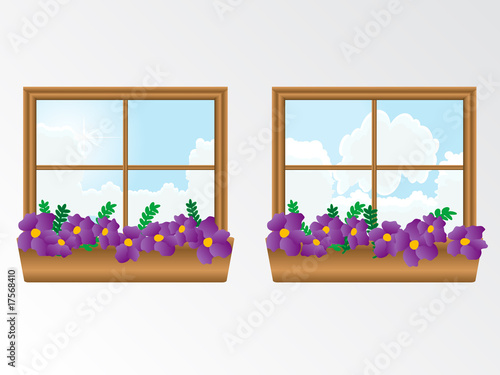 Window with flowers