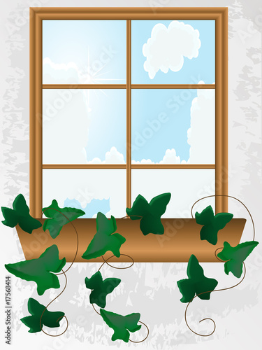 Window with ivy