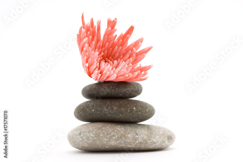 Canvas Print zen stones