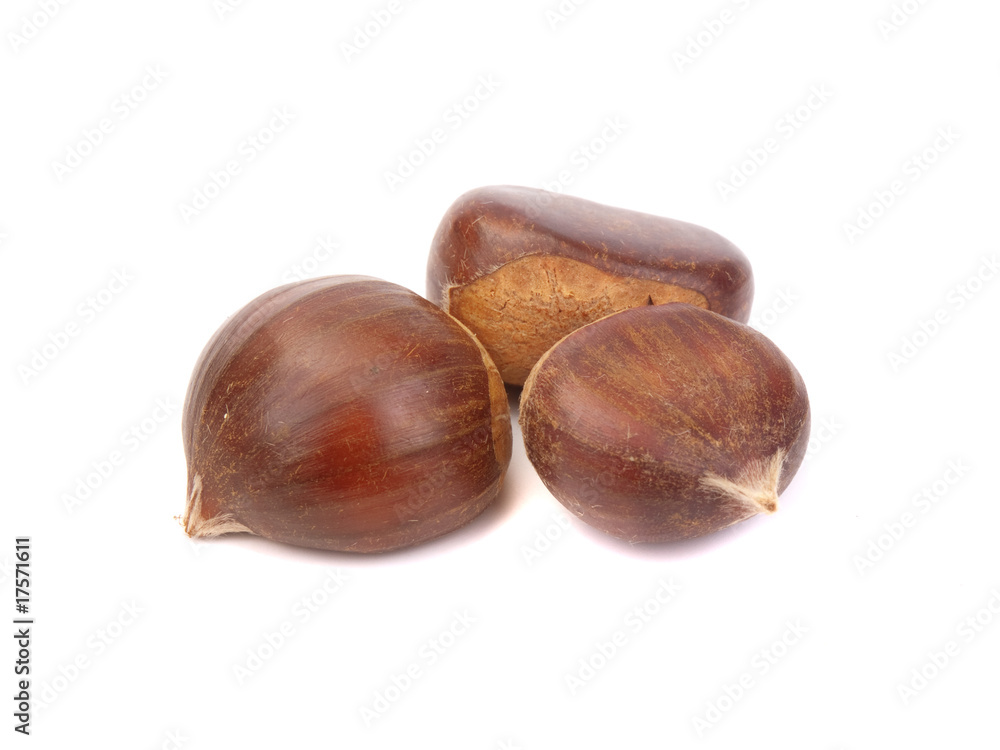Fototapeta premium Chestnuts
