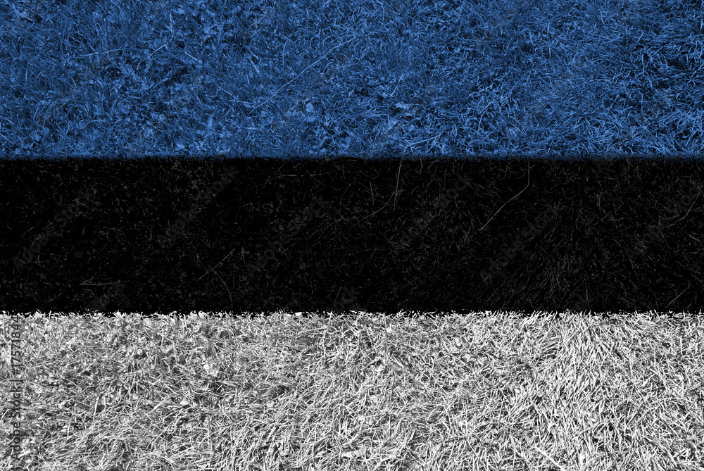 Fototapeta premium Flag grass EE