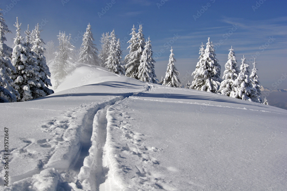Obraz premium fresh trail in the snow on a mountain slope in Bavaria