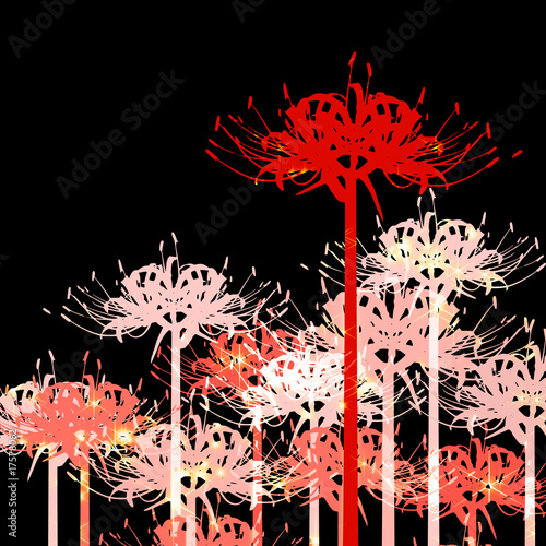 彼岸花の背景