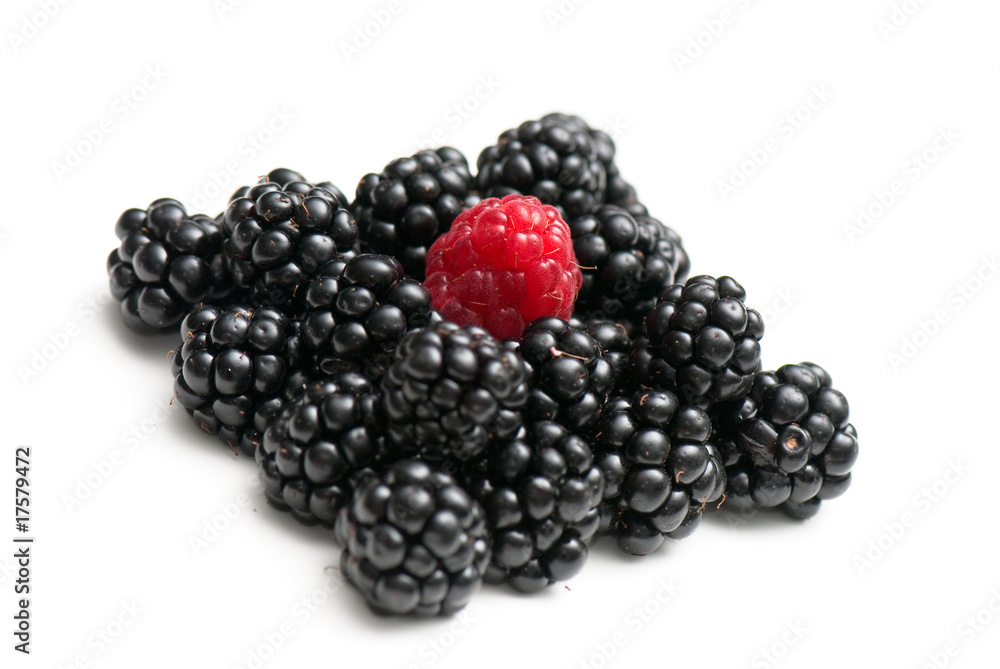 blackberry and raspberry blackberry and raspberry