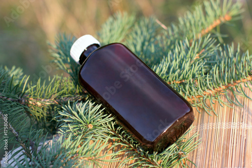 Aromatic oil extract from fir photo