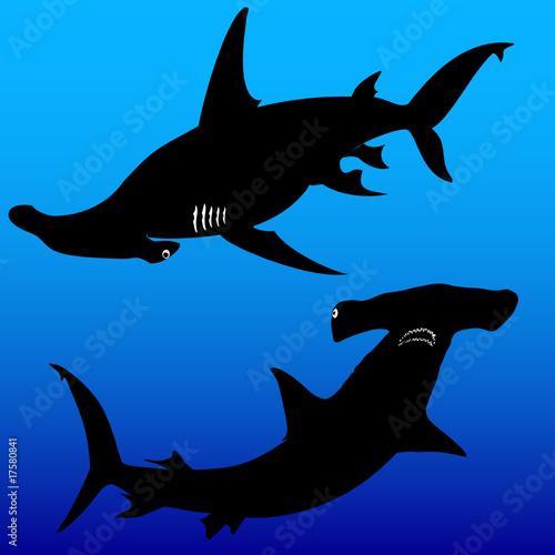 shark hammer vector silhouettes