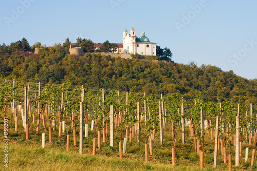 Leopoldsberg seen from wine yard, Vienna